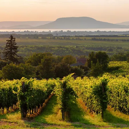 בית נופש In 36287