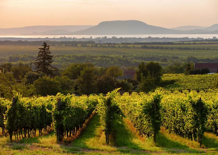 Tatil Evi In Balatonmariafürdo 36287